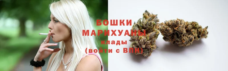 продажа наркотиков  Гаврилов-Ям  Каннабис SATIVA & INDICA 